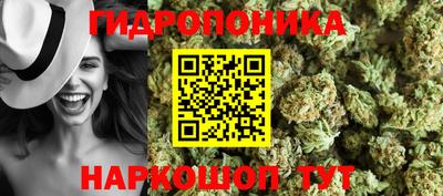 a pvp Лесосибирск